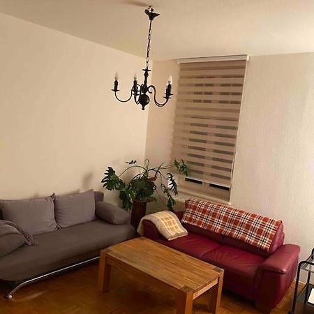 Schone Altbauwohnung Mit Grun In Ruhiger Lage 莱比锡 外观 照片