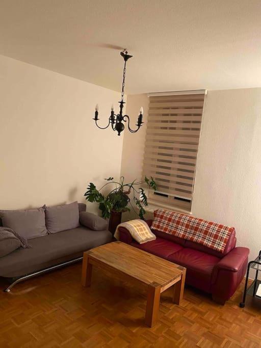 Schone Altbauwohnung Mit Grun In Ruhiger Lage 莱比锡 外观 照片